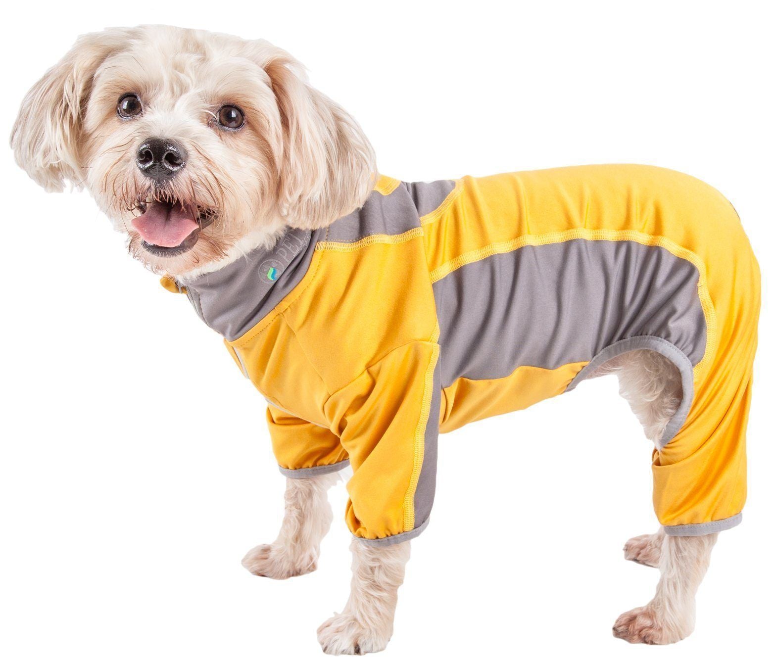 Dog yoga warm-up tracksuit in yellow with gray accents and elastic around leg openings