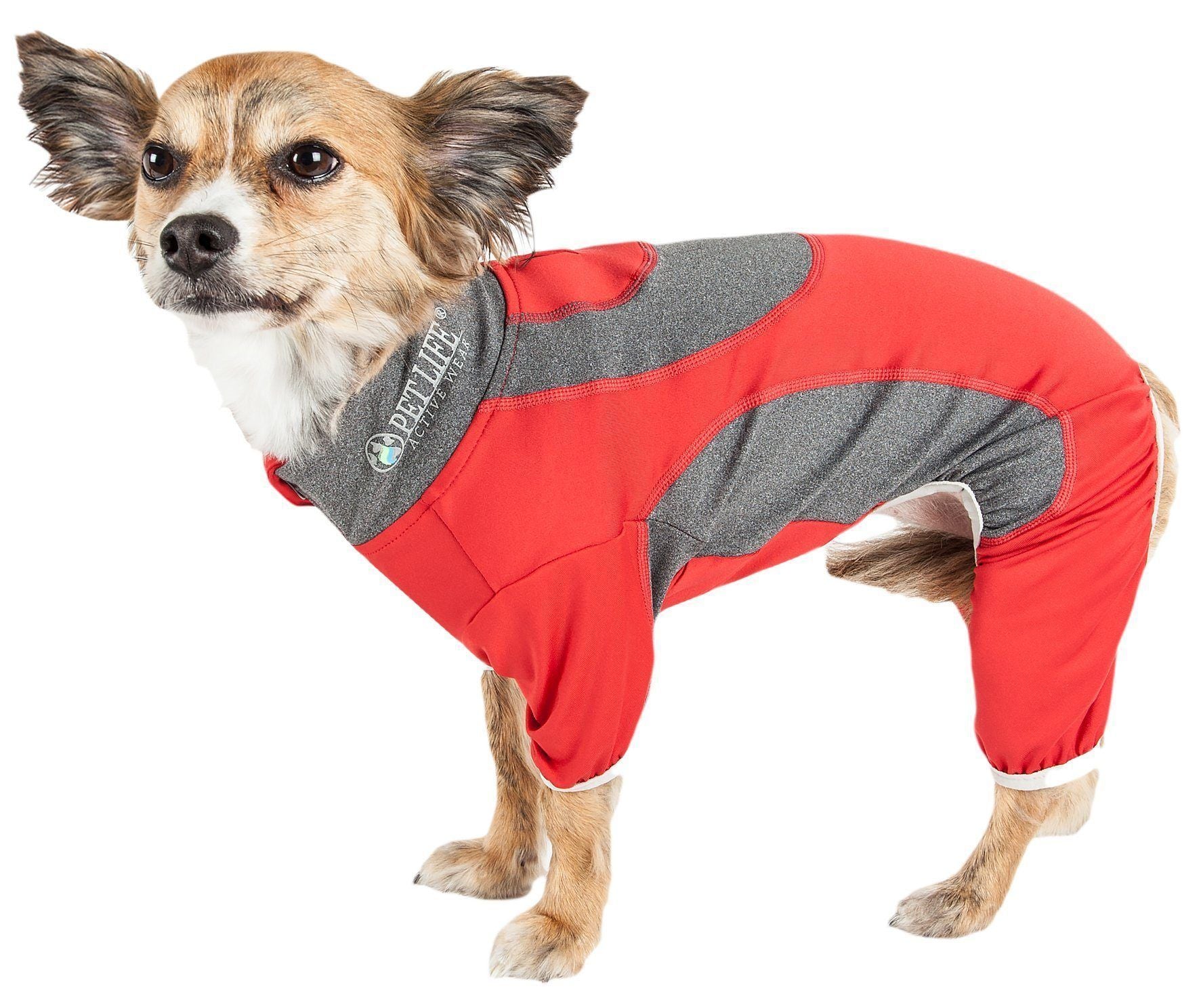 Dog yoga warm-up tracksuit with red and gray color-blocked panels and padded trim
