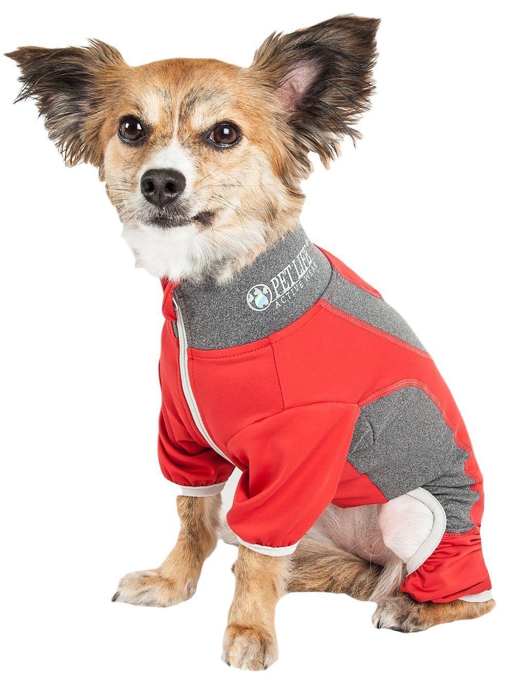 Red and gray dog warm-up suit with full zip and white-trim belly opening