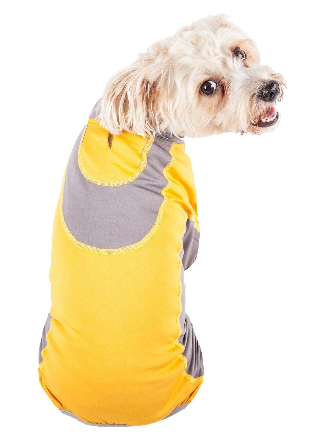 Yellow and gray dog warm-up tracksuit with gray hood pocket