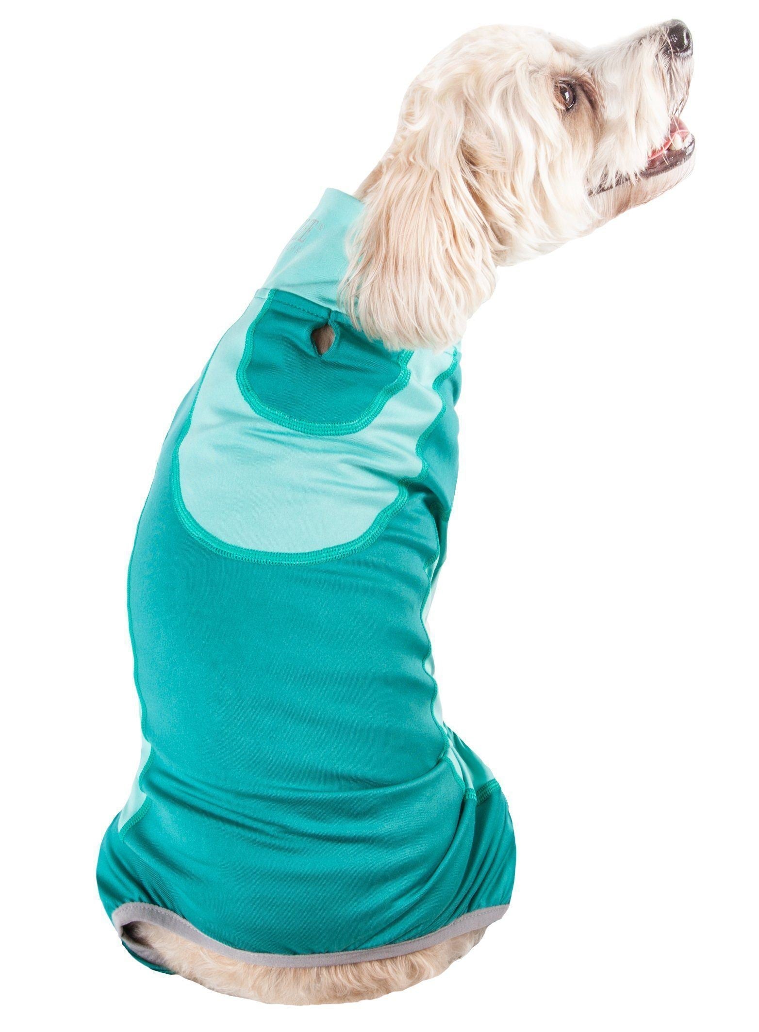 Turquoise dog active tracksuit with stretch fit, pocket opening, and side leg cuffs