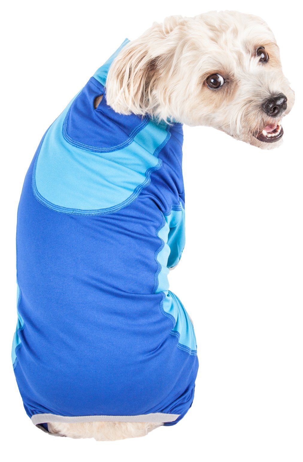 Blue dog fitness warm-up tracksuit with teal-trim hood pocket