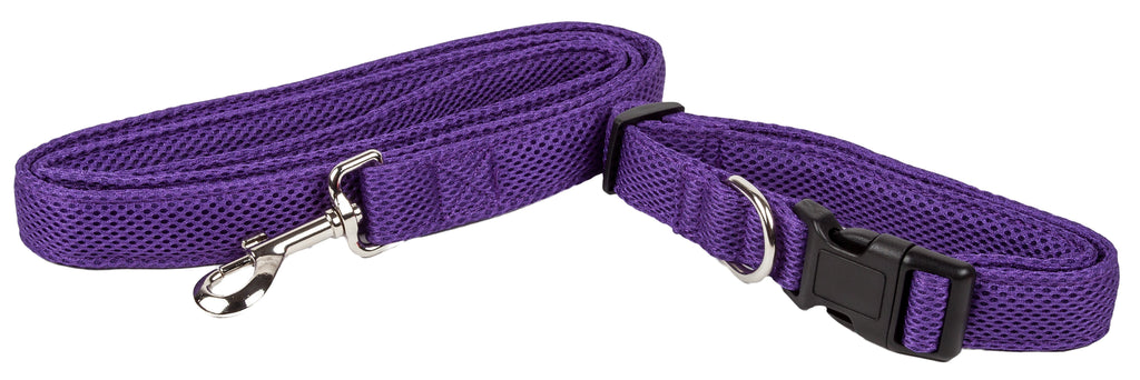 Purple mesh dog collar with metal clasp and black buckle, adjustable length