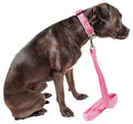 Pink dual-sided mesh dog leash and collar with buckle and metal D-ring