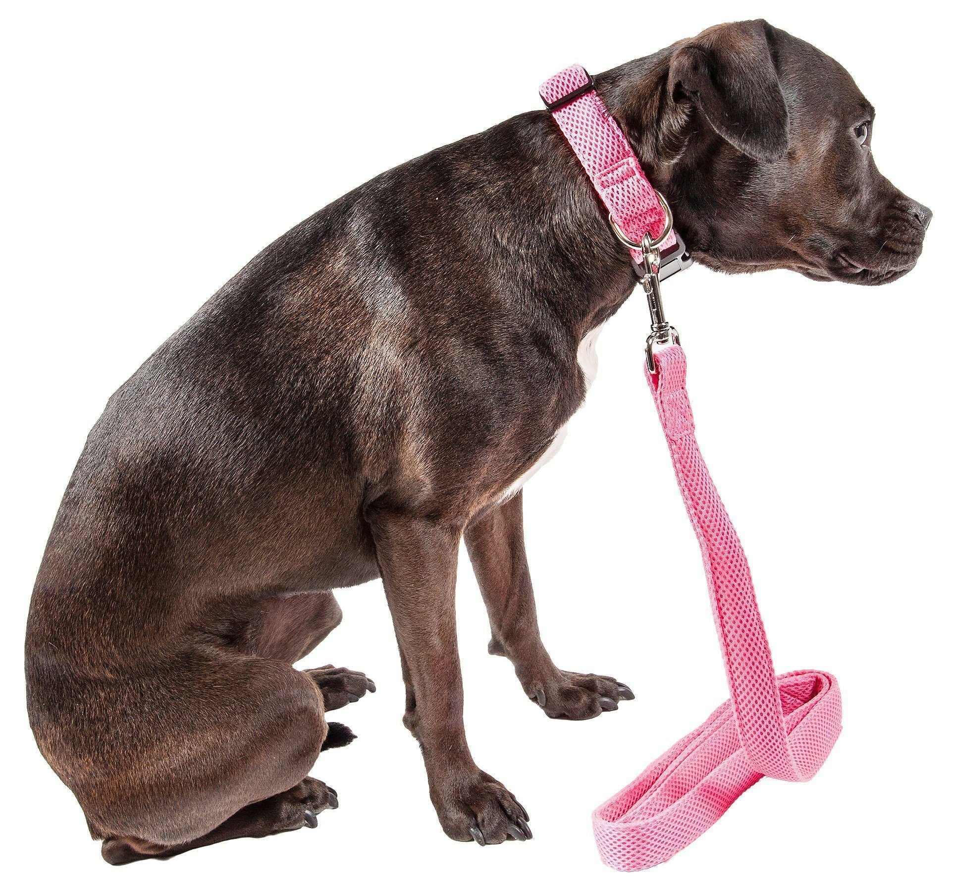 Pink dual-sided mesh dog leash and collar with buckle and metal D-ring