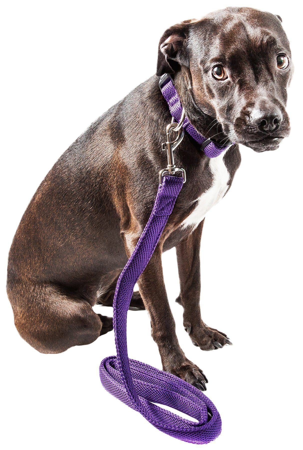 Purple dual-sided mesh dog leash and collar with adjustable strap and metal ring