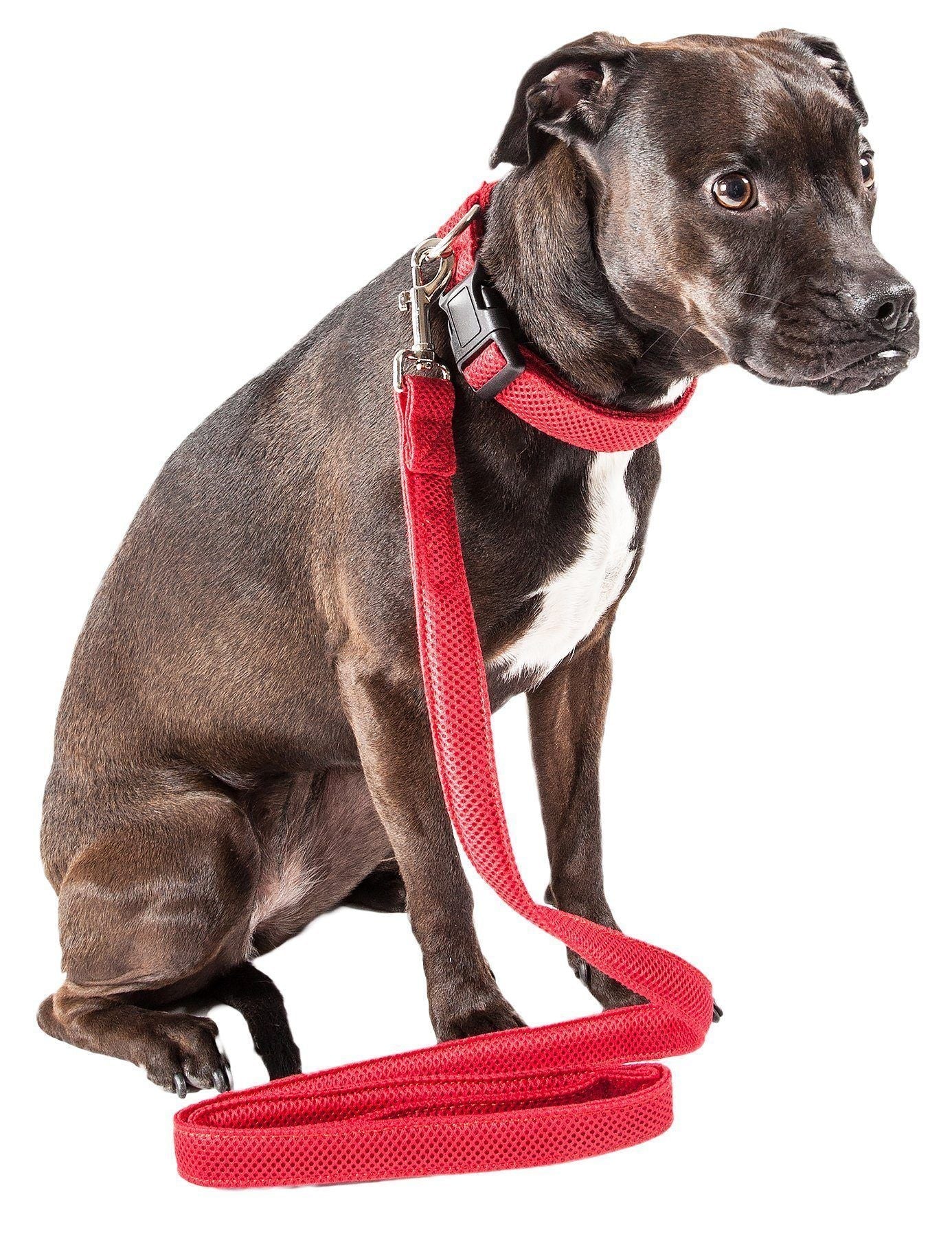 Red dual-sided mesh dog leash and collar set with metal clips and adjustable strap