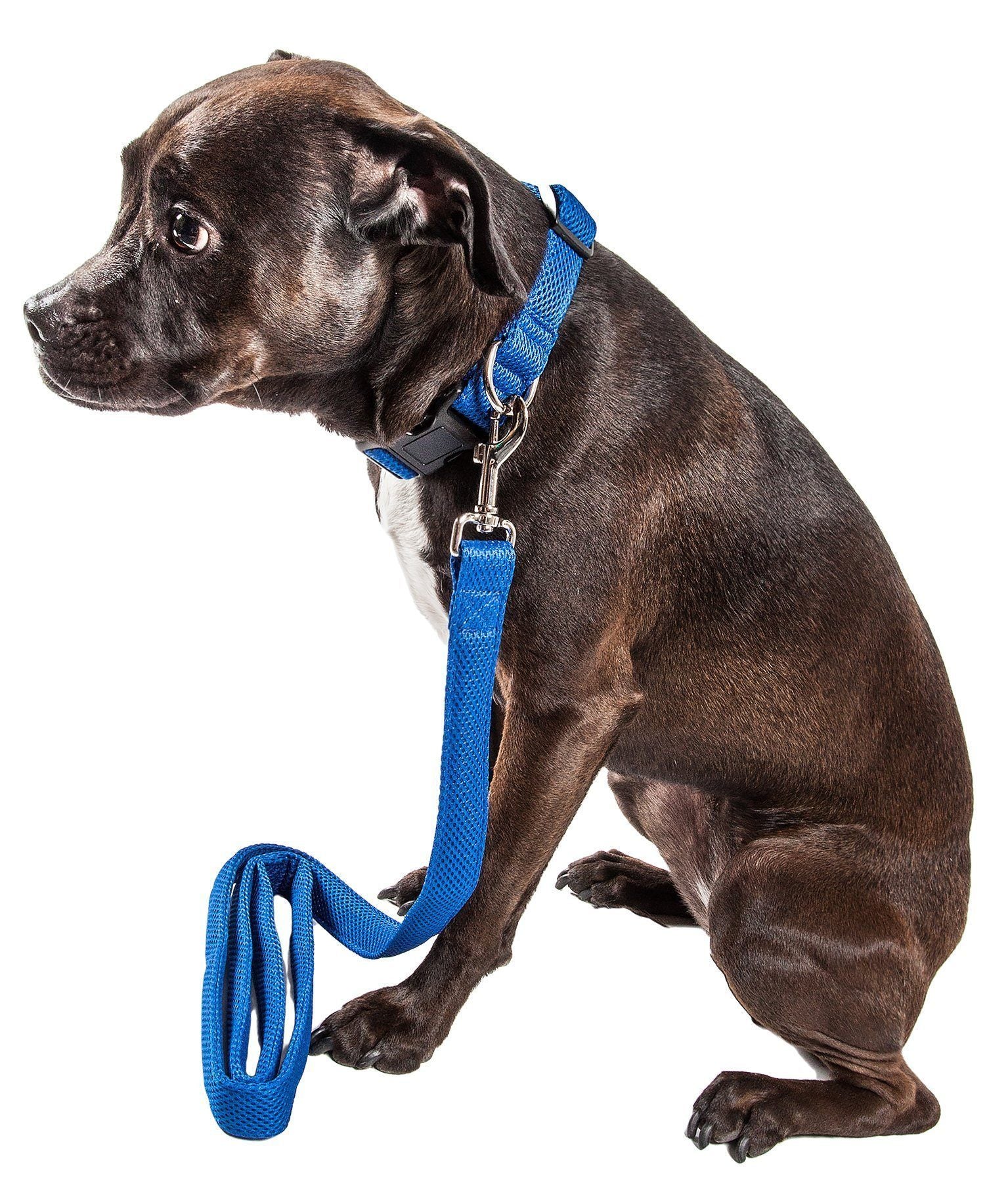 Blue dual-sided mesh dog leash and collar with adjustable strap and metal ring