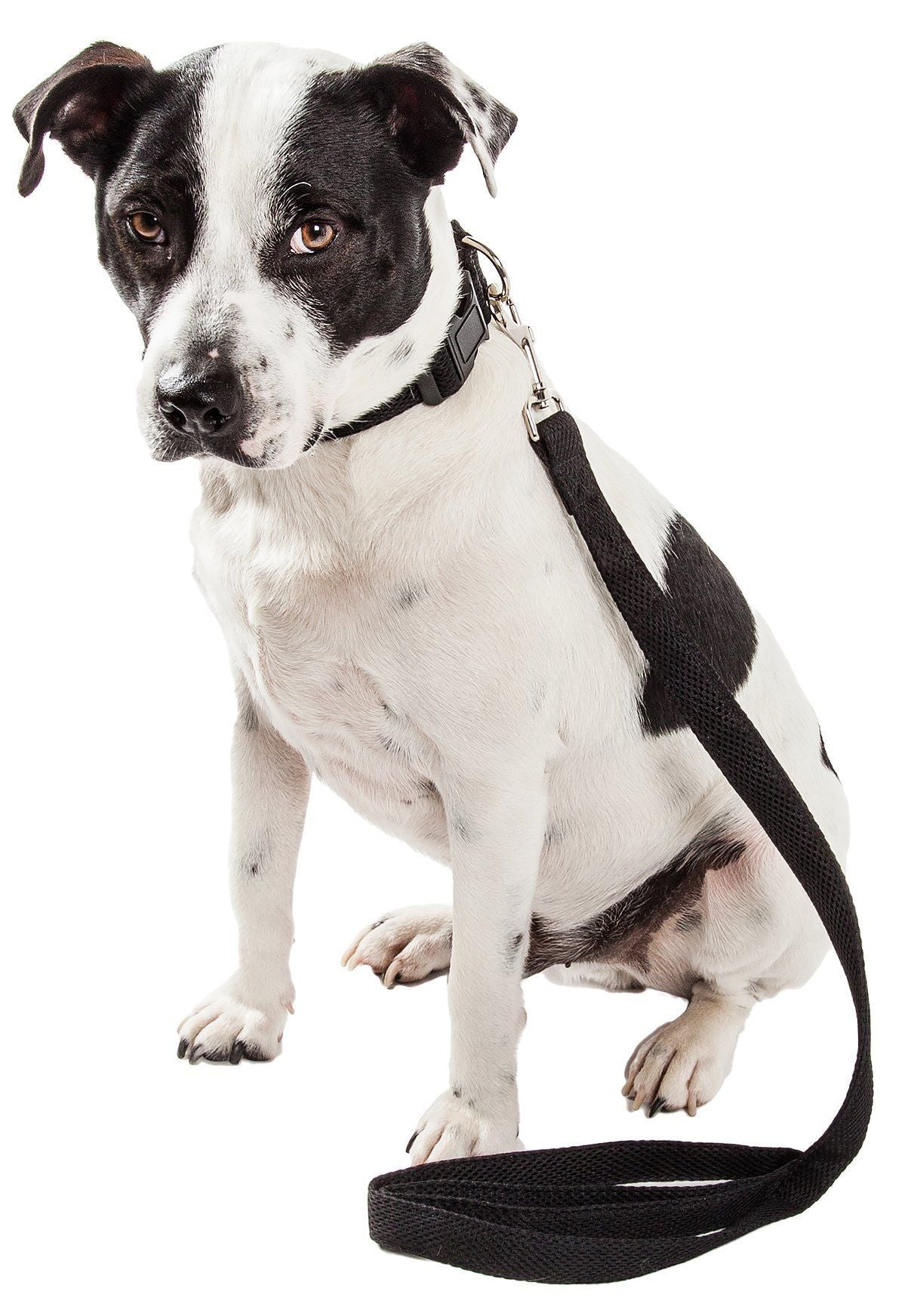 Black dual-sided mesh dog leash and collar with adjustable strap and metal D-ring