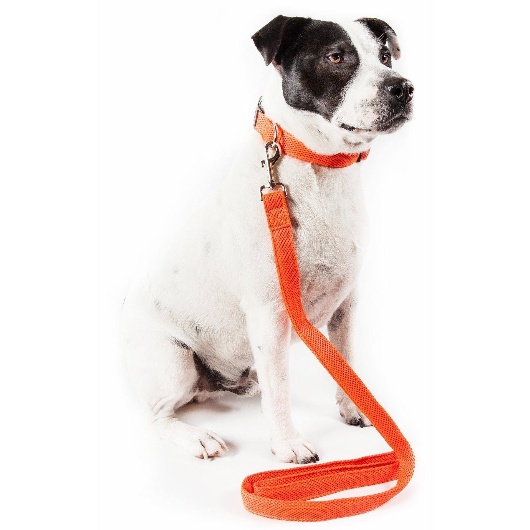 Orange dual-sided mesh dog leash and collar with buckle clasp and metal D-ring