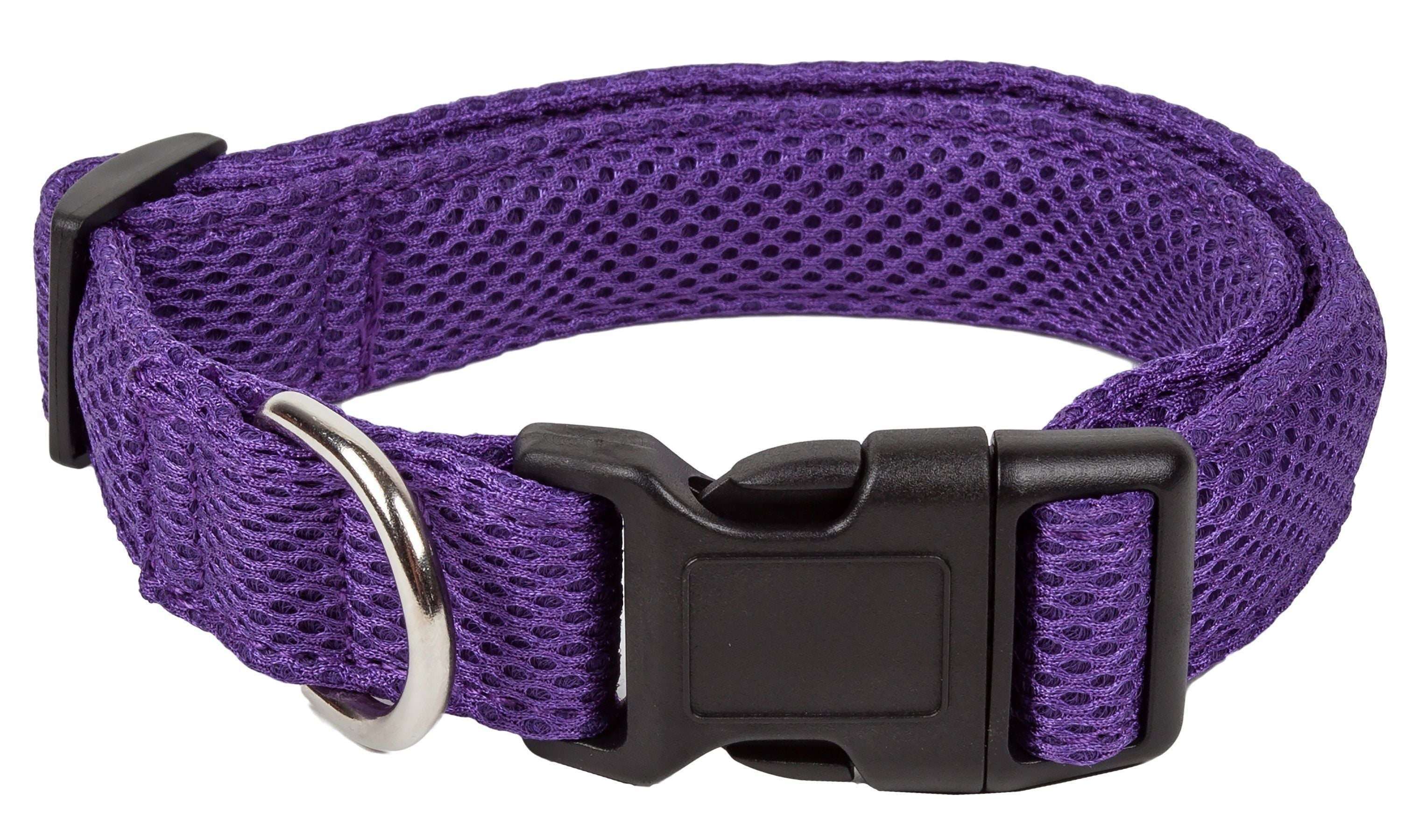 Purple breathable mesh dog collar with adjustable black buckle and D-ring