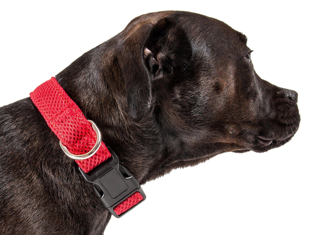 Red dual-sided mesh dog collar with silver D-ring and black buckle hardware