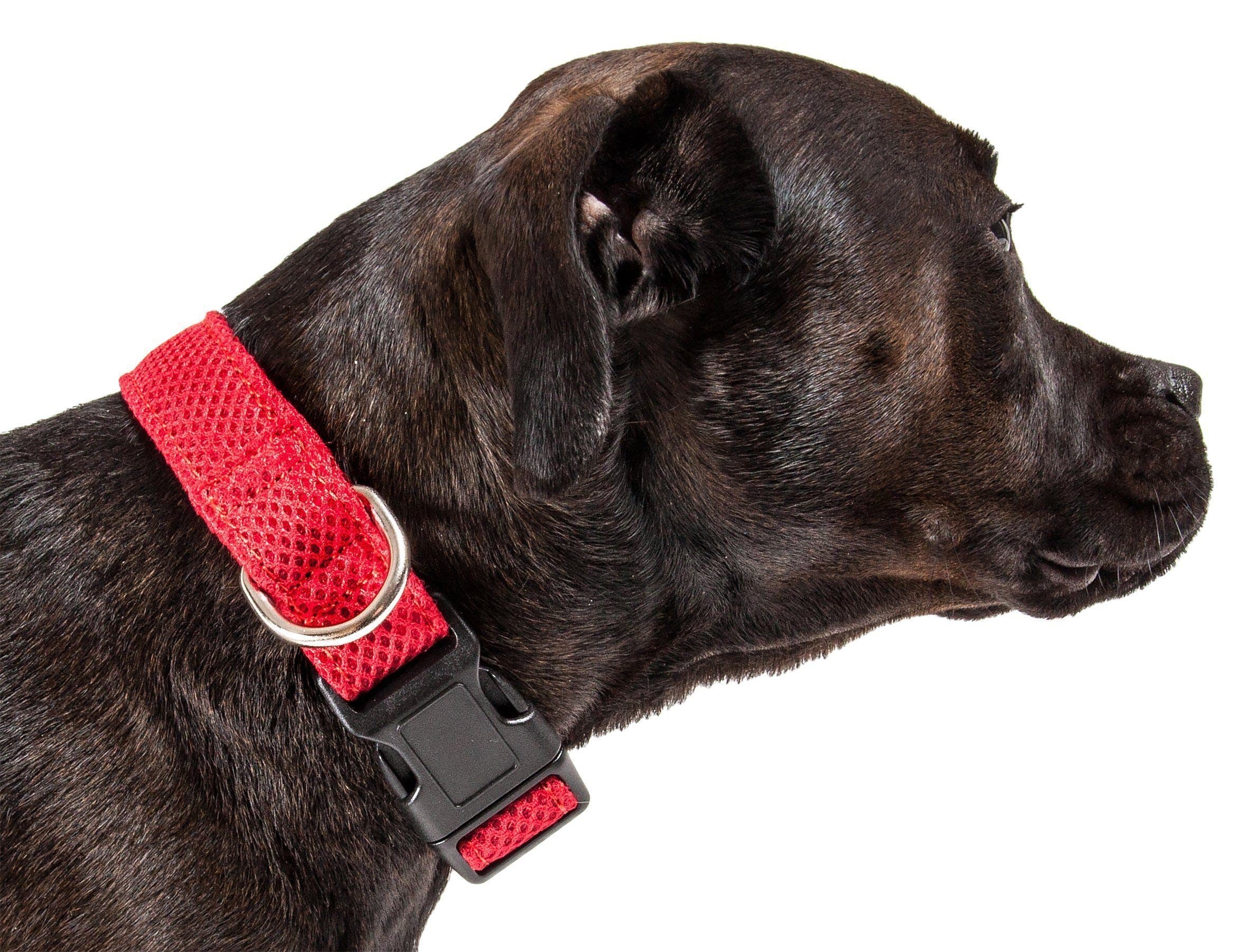 Red dual-sided mesh dog collar with silver D-ring and black buckle hardware