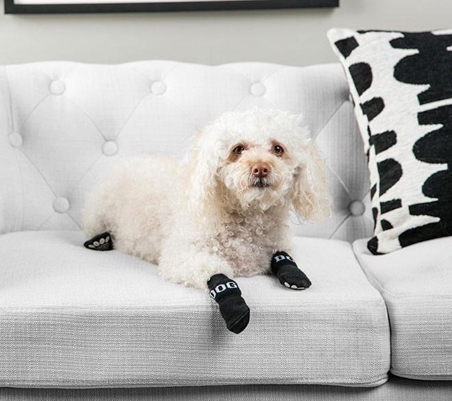 Black anti-slip dog socks with white paw grips, set of 4 on a dog
