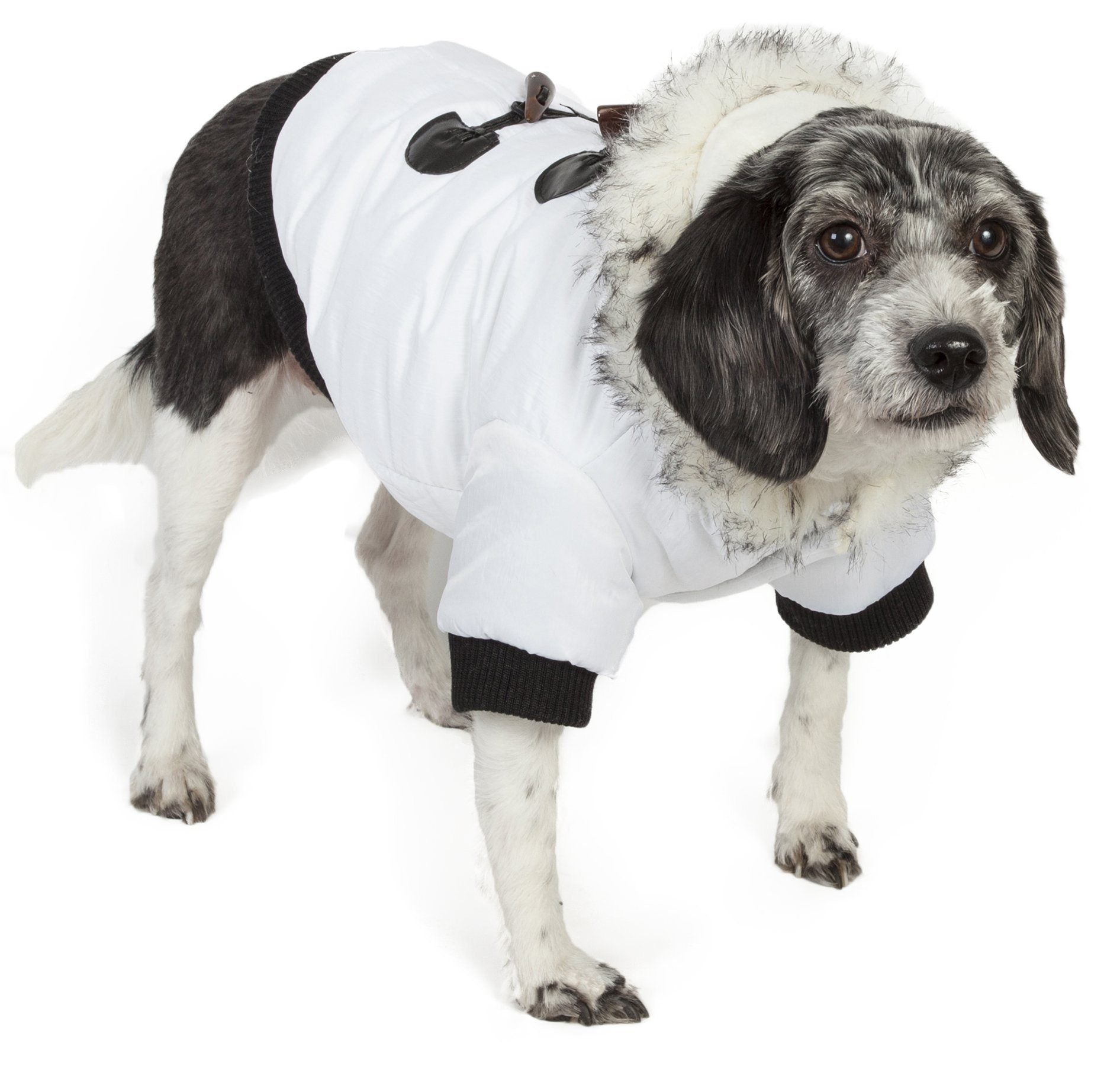 White insulated dog parka with faux-fur hood, black ribbed cuffs and front toggle closures