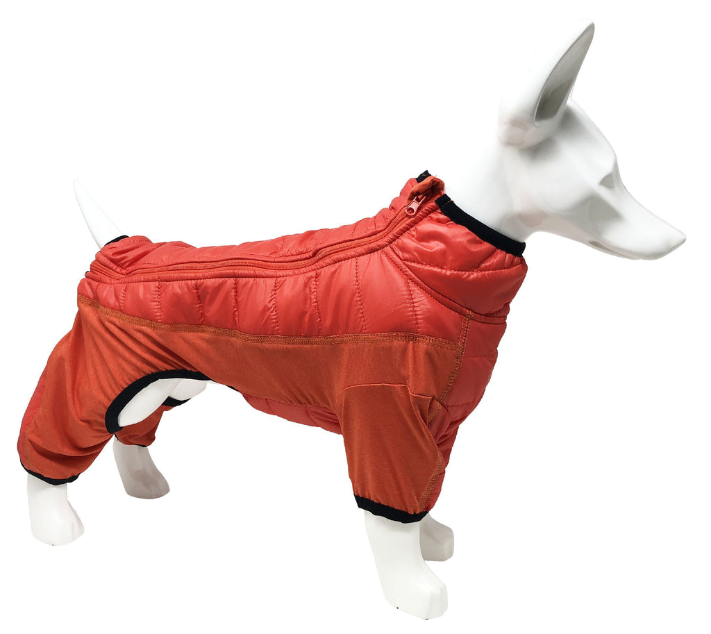 Red dog jacket with front zip, quilted body and black collar trim