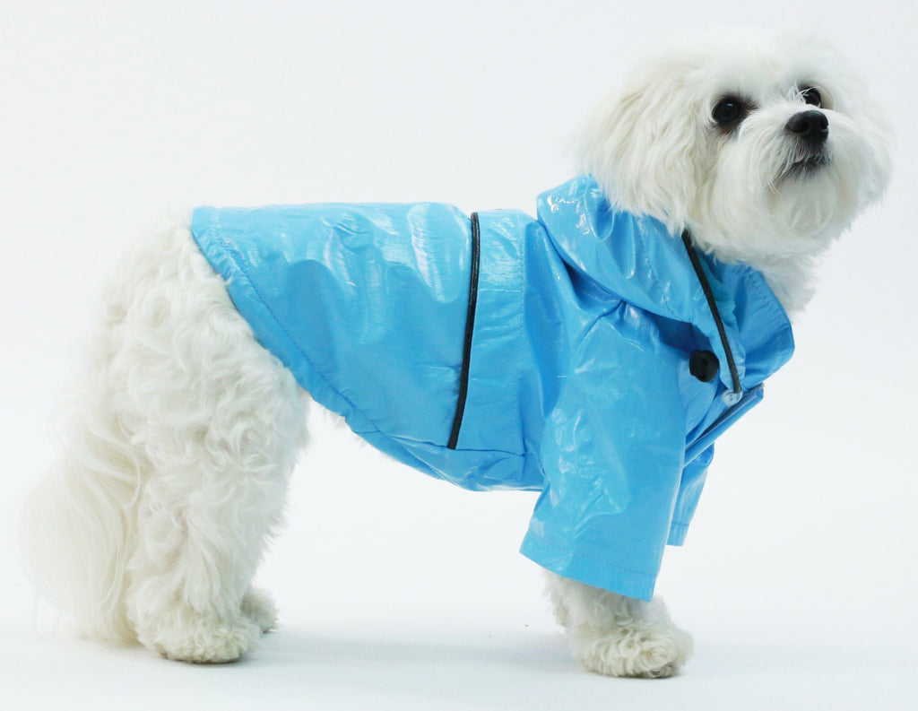 Baby blue waterproof dog raincoat with removable hood, adjustable fit, black trim