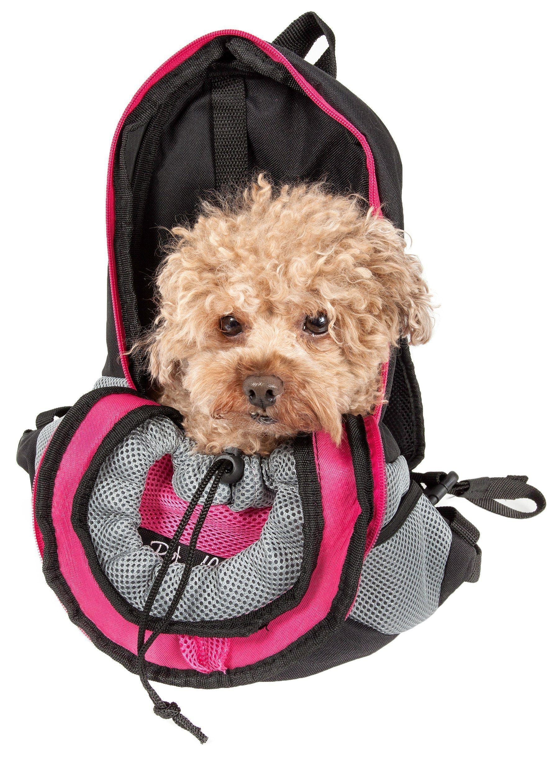 Pink-trim dog backpack carrier with gray mesh; curly-haired dog centered in front opening.