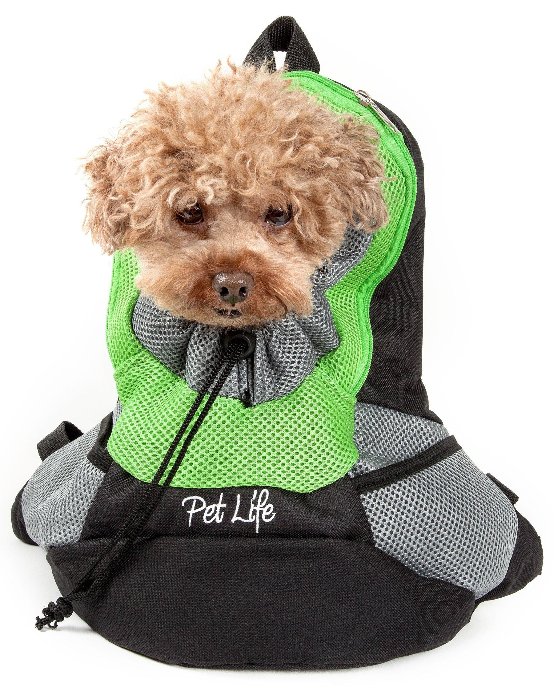 Green mesh dog backpack carrier with gray paneling; curly-haired dog resting in pocket.