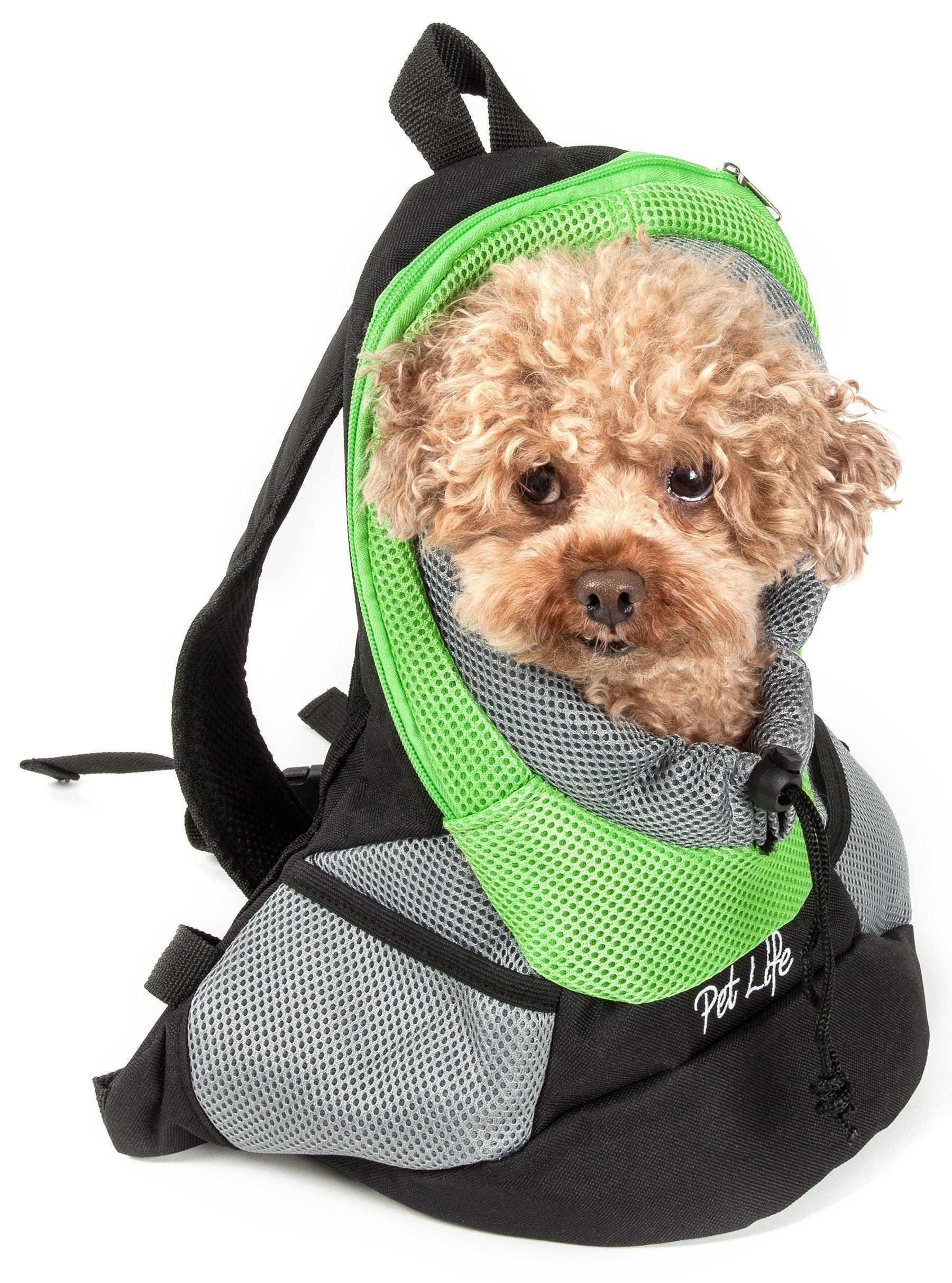 Green mesh dog backpack carrier with black straps; small curly-haired dog face in front.