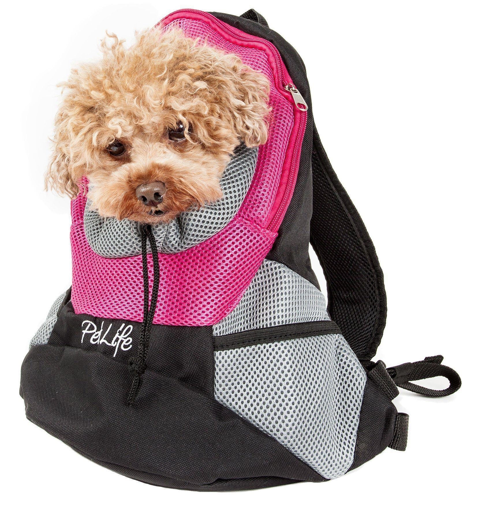 Pink mesh dog backpack carrier with black straps; small curly-haired dog peeks from front.