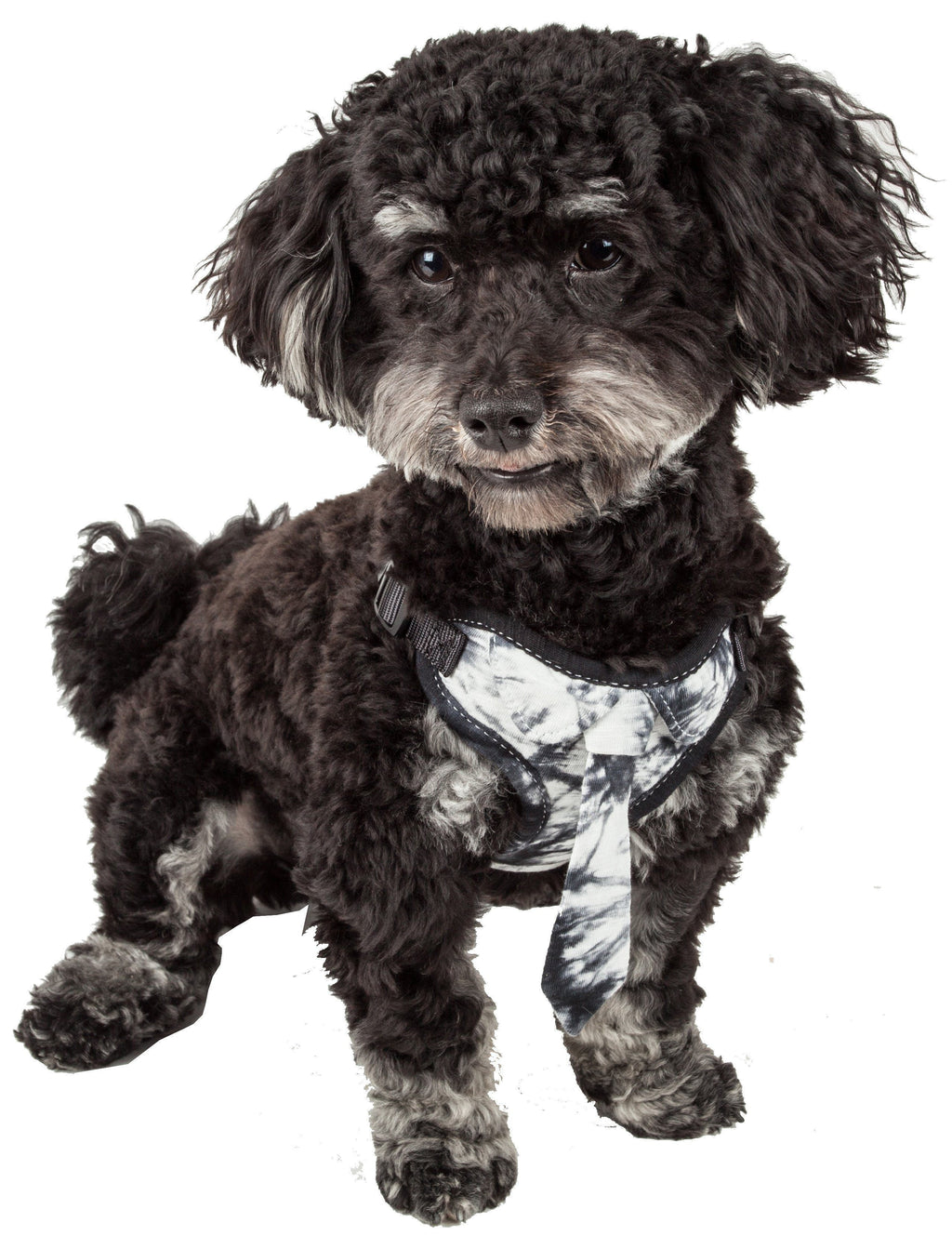 Black-and-white mesh dog harness with adjustable straps and neck tie detail