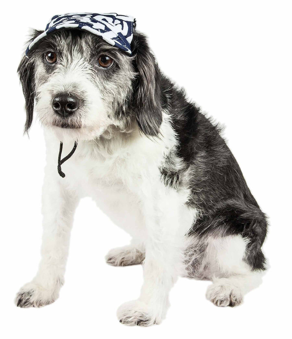 Front view of small dog wearing navy-and-white camo graffiti bucket hat, chin cords down
