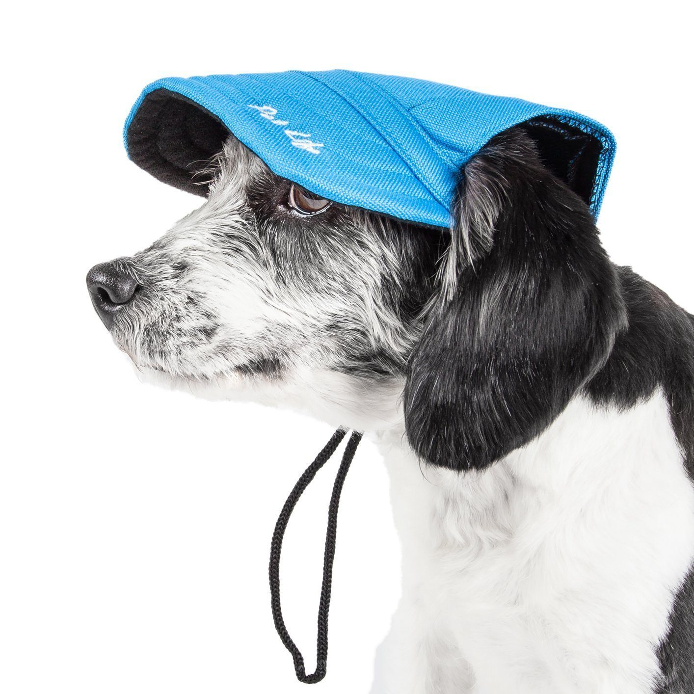 Blue dog UV protective adjustable fashion hat with chin drawstrings and side brim logo