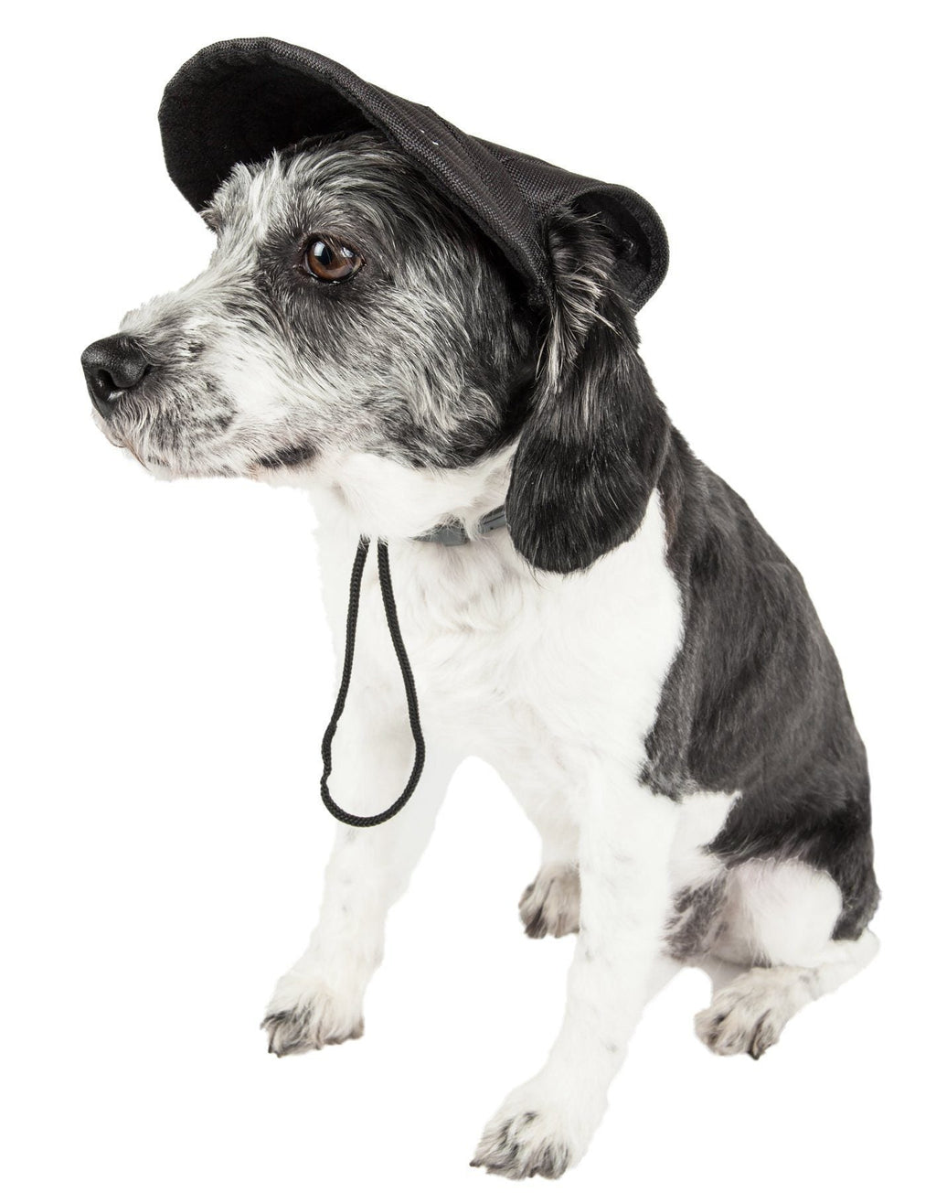 Adjustable black dog sun hat with chin cord, worn by a speckled black-and-white dog