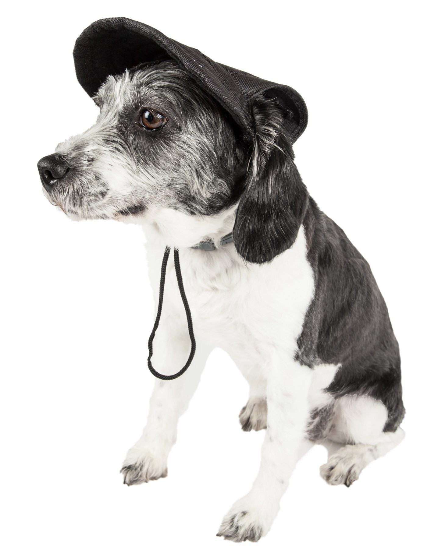 Adjustable black dog sun hat with chin cord, worn by a speckled black-and-white dog