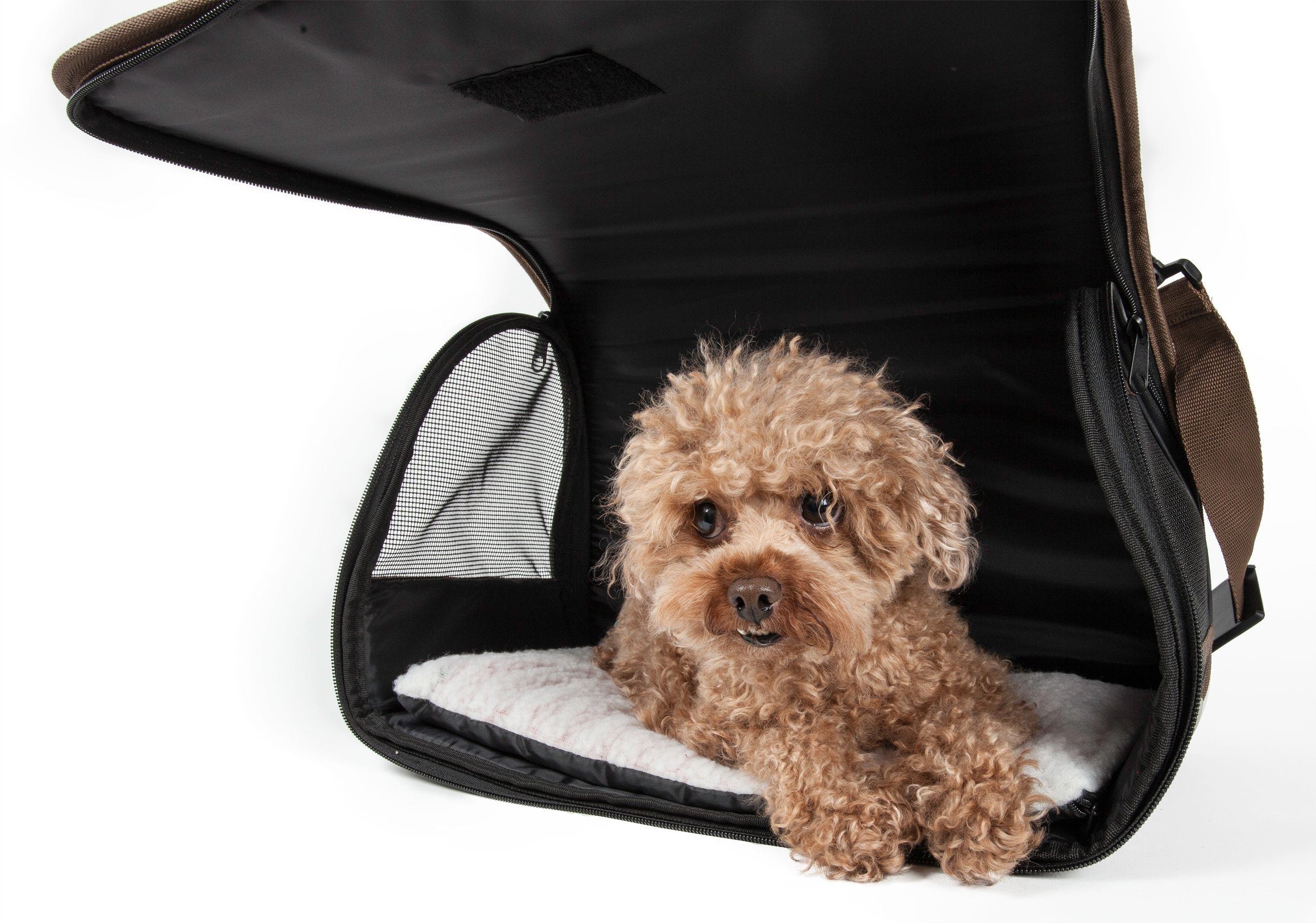 Open interior of collapsible dog carrier with padded mat and mesh side panel; small dog inside