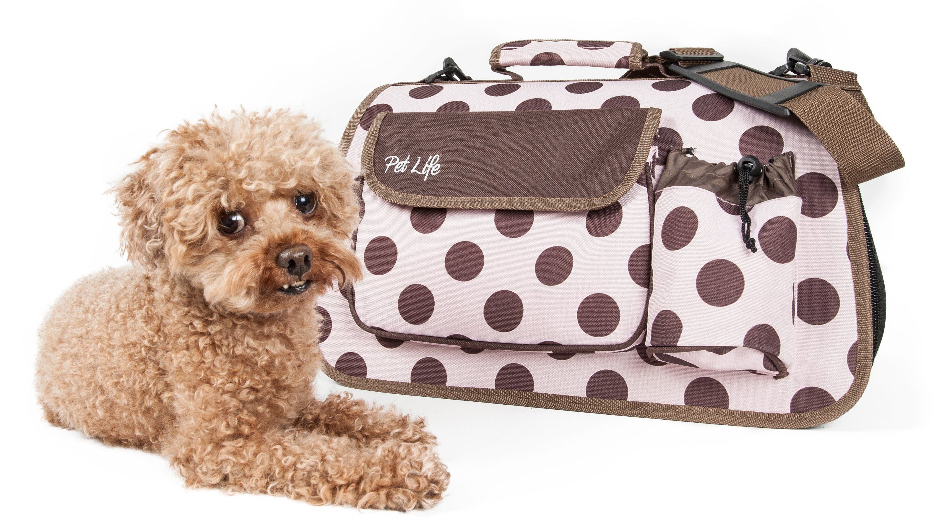 Polka-dotted folding dog carrier with zipper door and front flap; pet resting inside