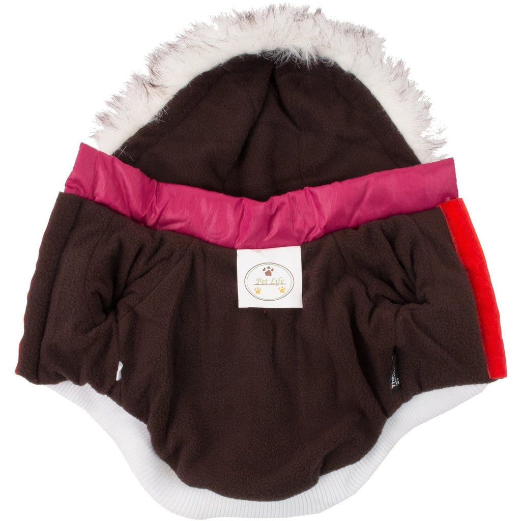 Insulated dog parka with removable fur-trimmed hood, dark body and pink collar trim