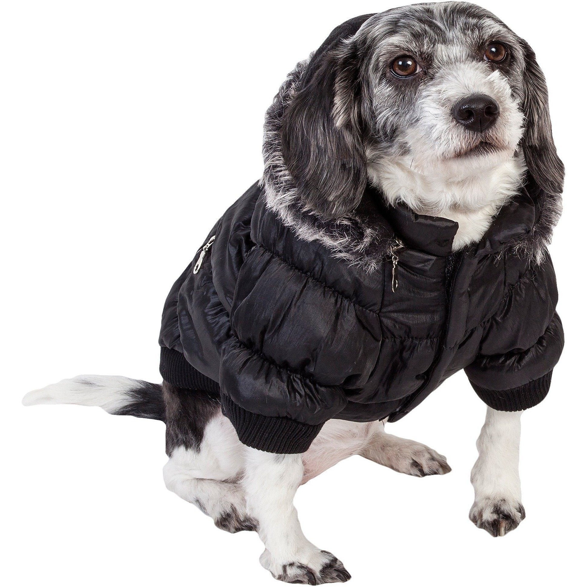 Black insulated dog parka with removable hood, faux-fur trim, and front zipper closure