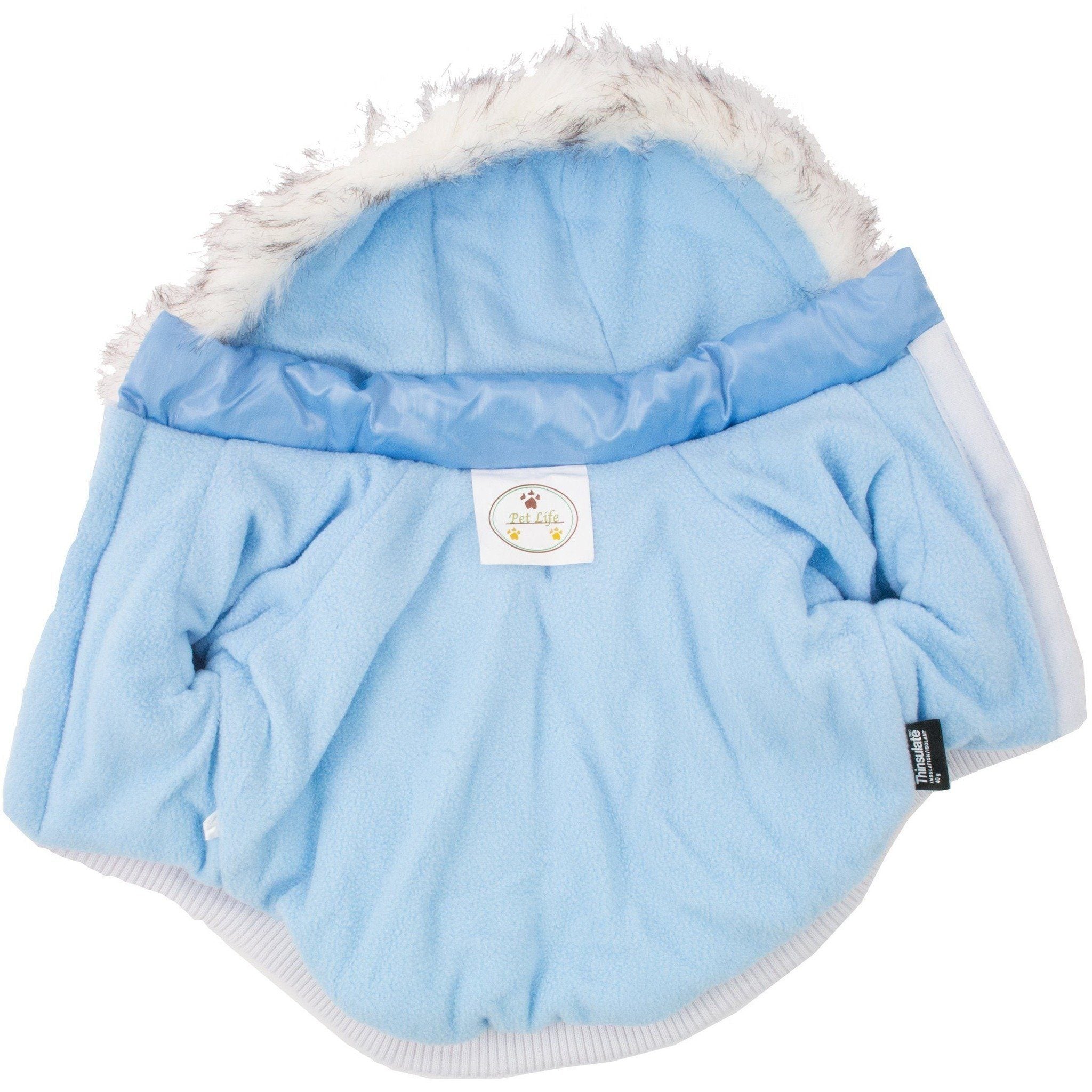 Sky blue dog parka back view with faux-fur hood trim and ribbed hem