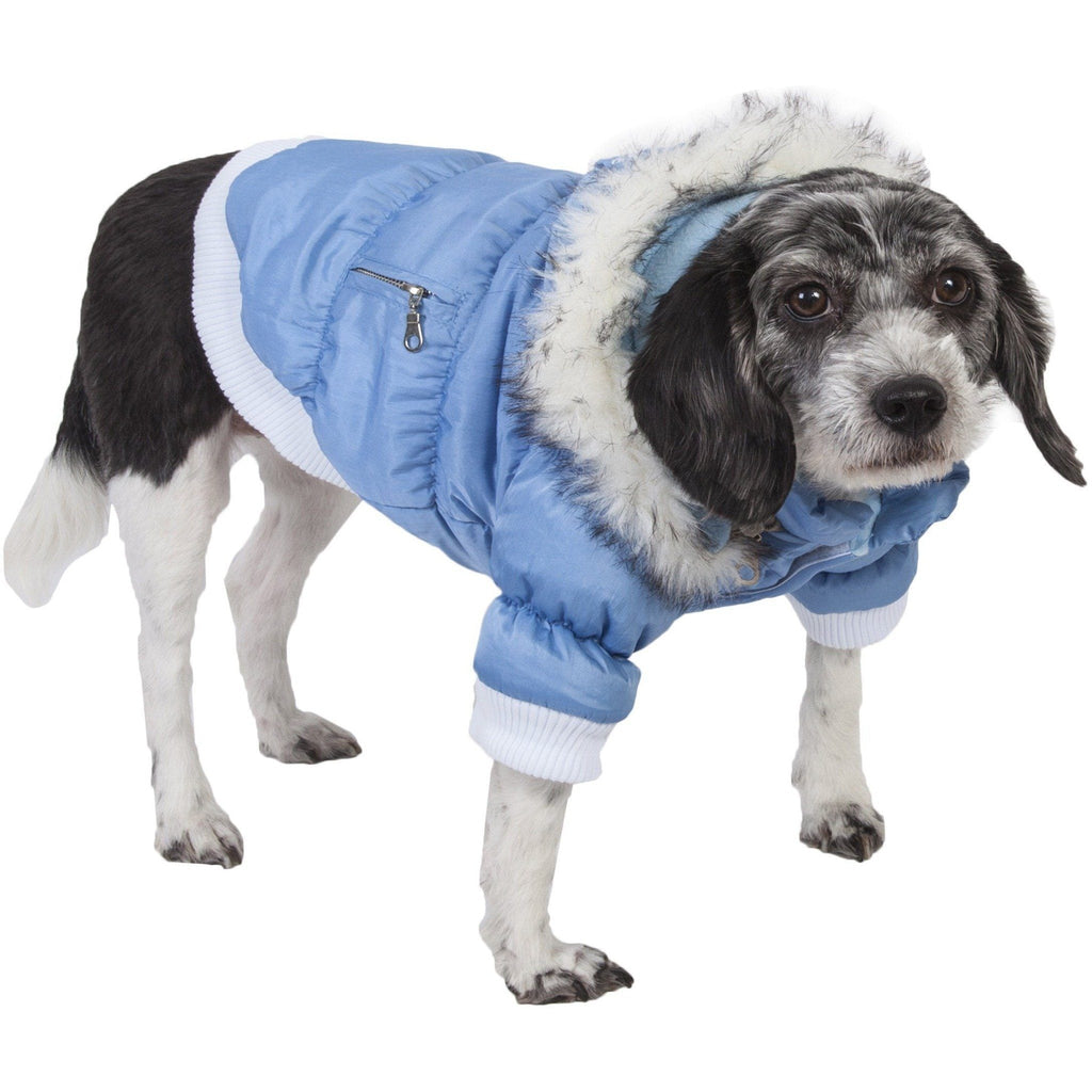 Sky blue insulated dog parka with removable hood and faux-fur trim, zip front