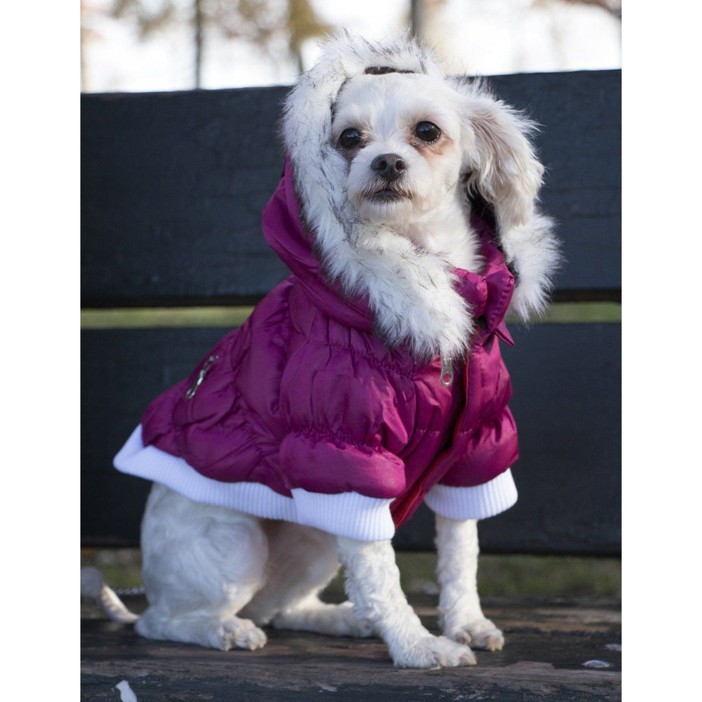 Fur-trimmed hood insulated dog parka with shiny plum outer shell and ribbed waist