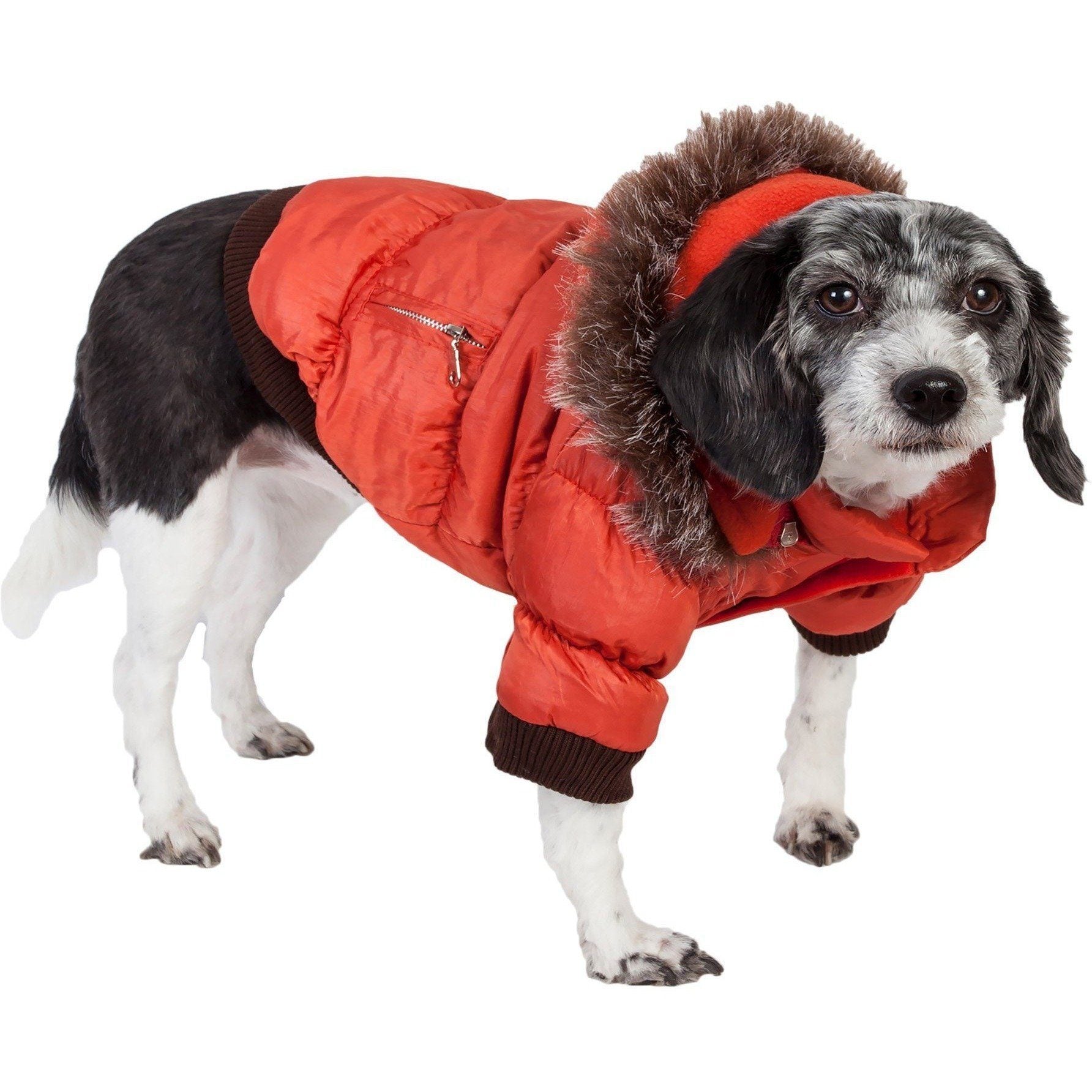 Metallic orange insulated dog parka with removable hood and faux-fur trim, zip pocket
