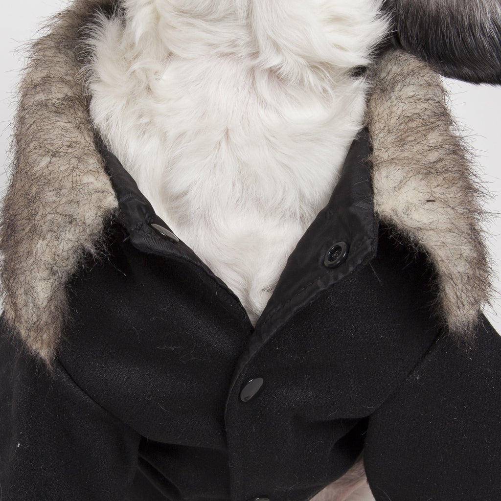 Close-up: black button-front dog coat with faux-fur collar and dark lapels