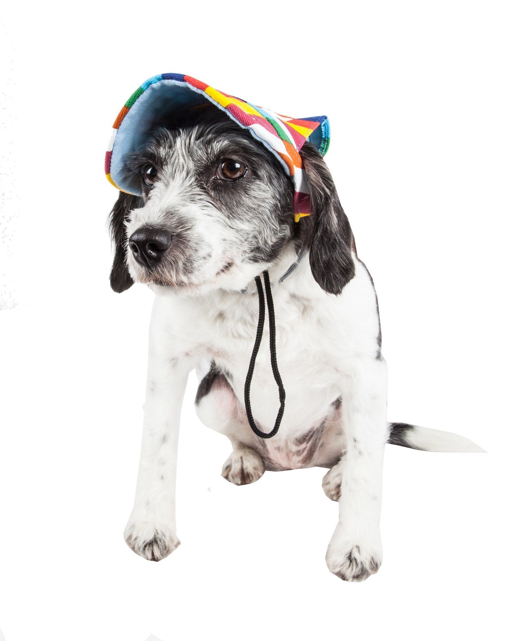 Striped sun hat on small dog, colorful crown with chin cord