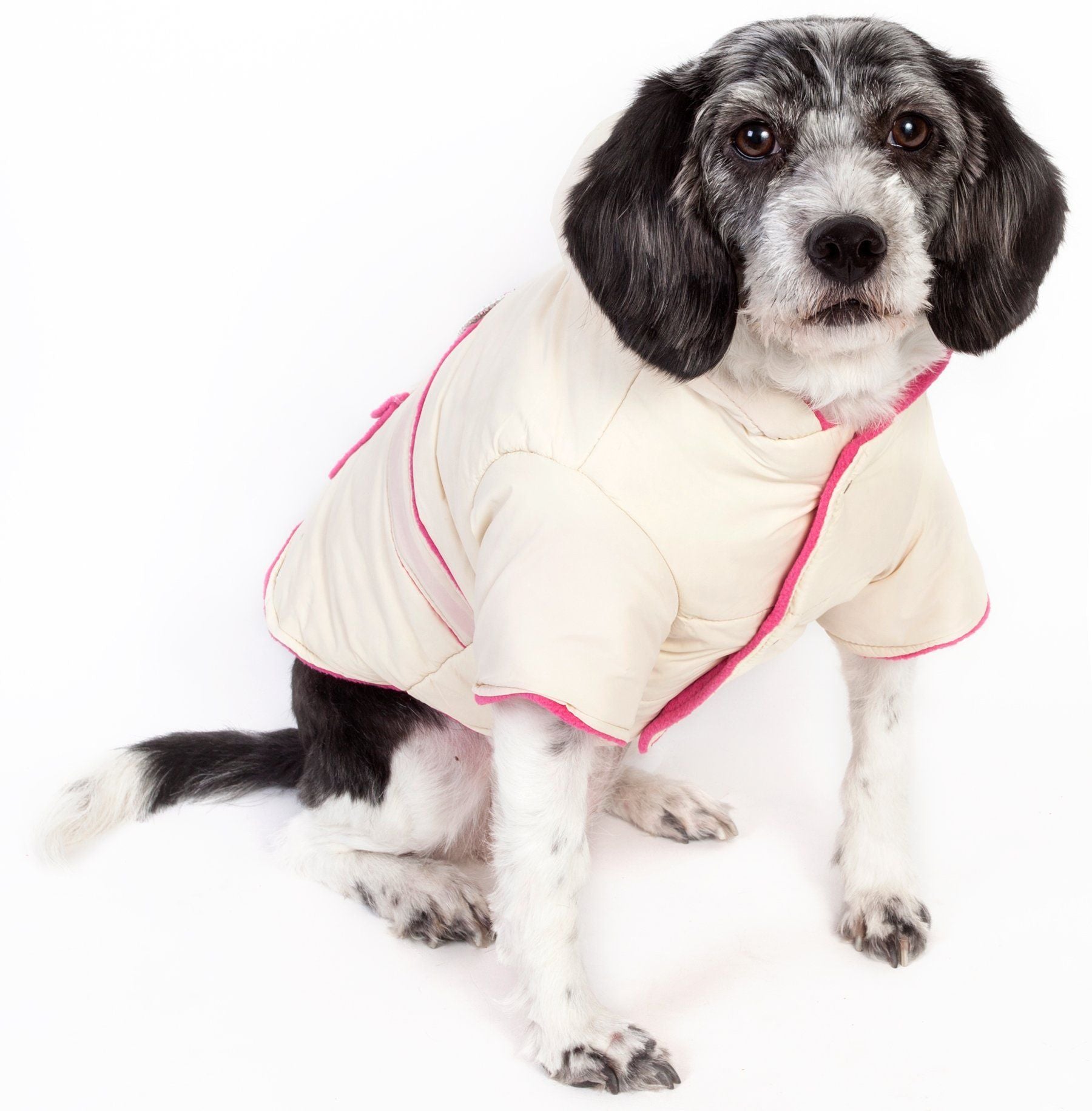 Cream dog puffer jacket with pink trim, hood, and jeweled collar detail
