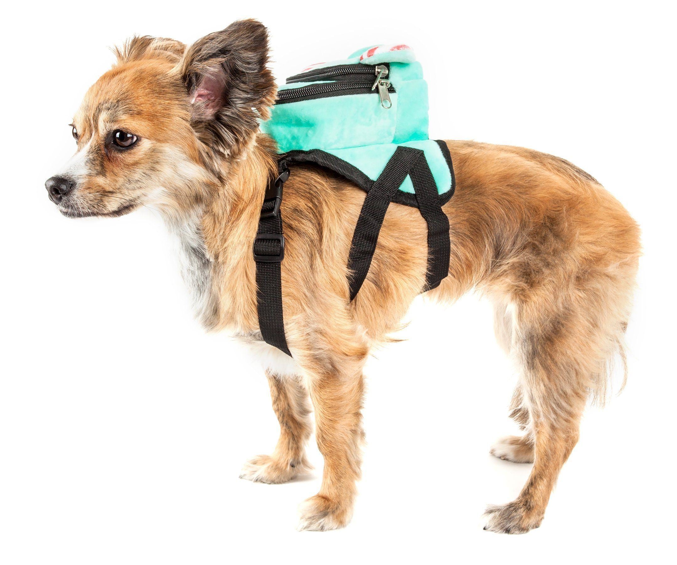 Dog wearing mint plush harness backpack with black harness straps and top zipper pocket