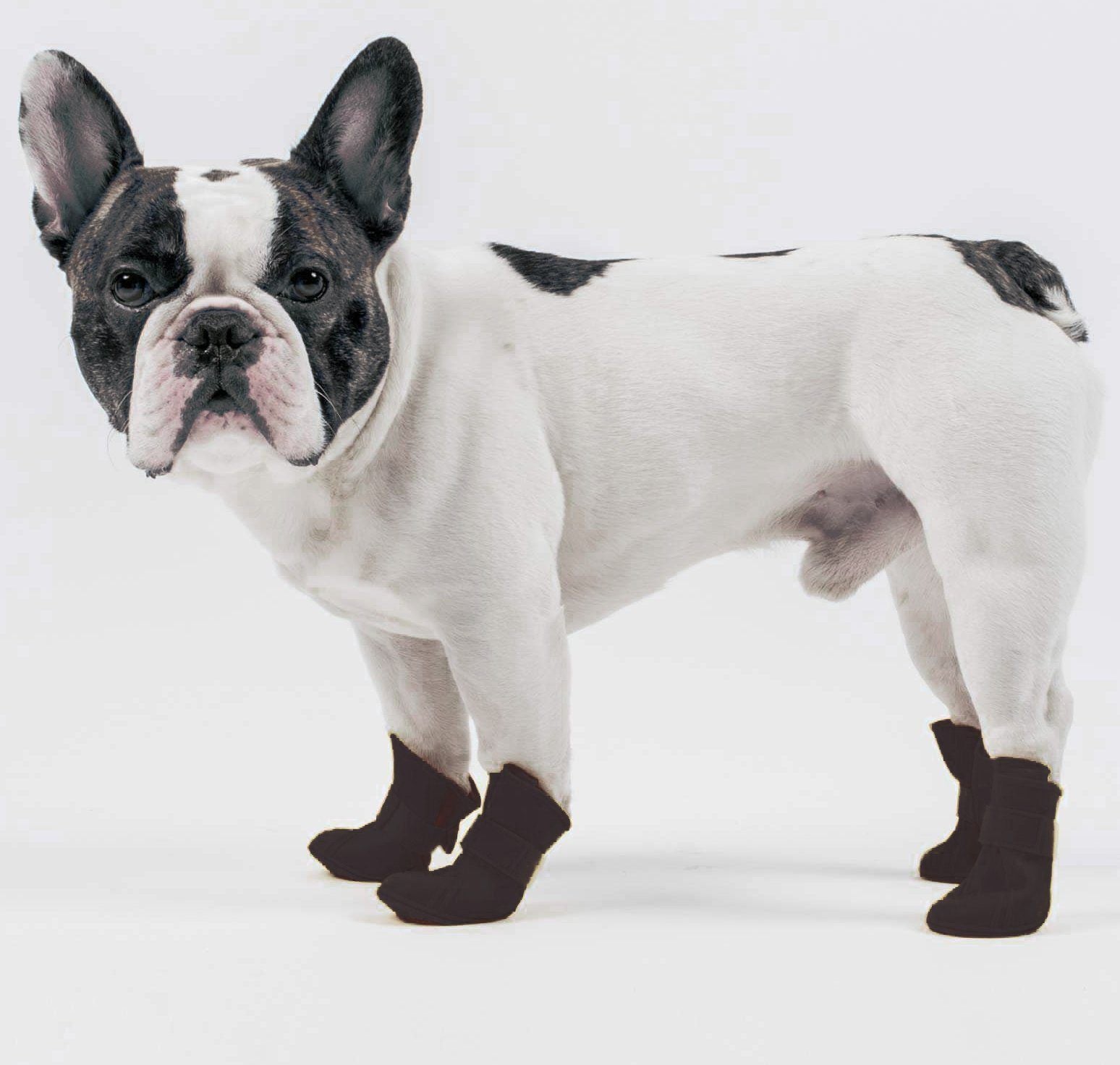 Black dog boots set of 4 with elastic straps and textured non-slip rubber soles