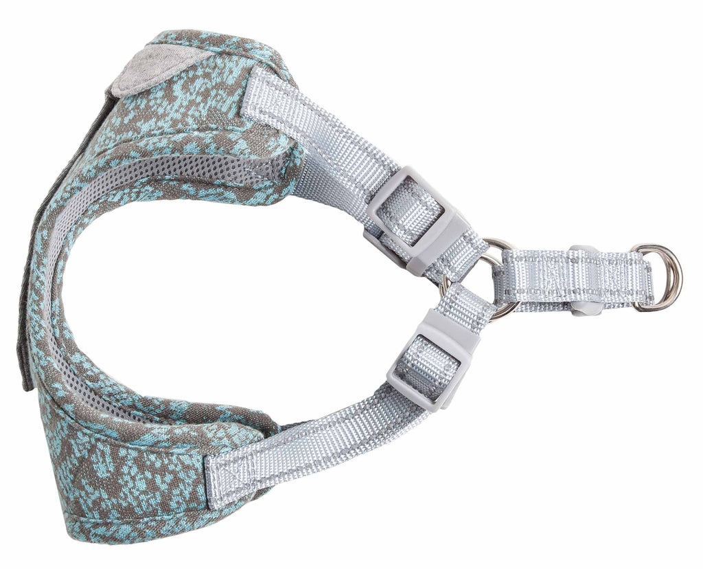 Adjustable dog harness with gray webbing, turquoise patterned edge, and metal D-ring