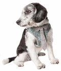 Dog harness with gray mesh straps and turquoise patterned fabric, adjustable neck tie