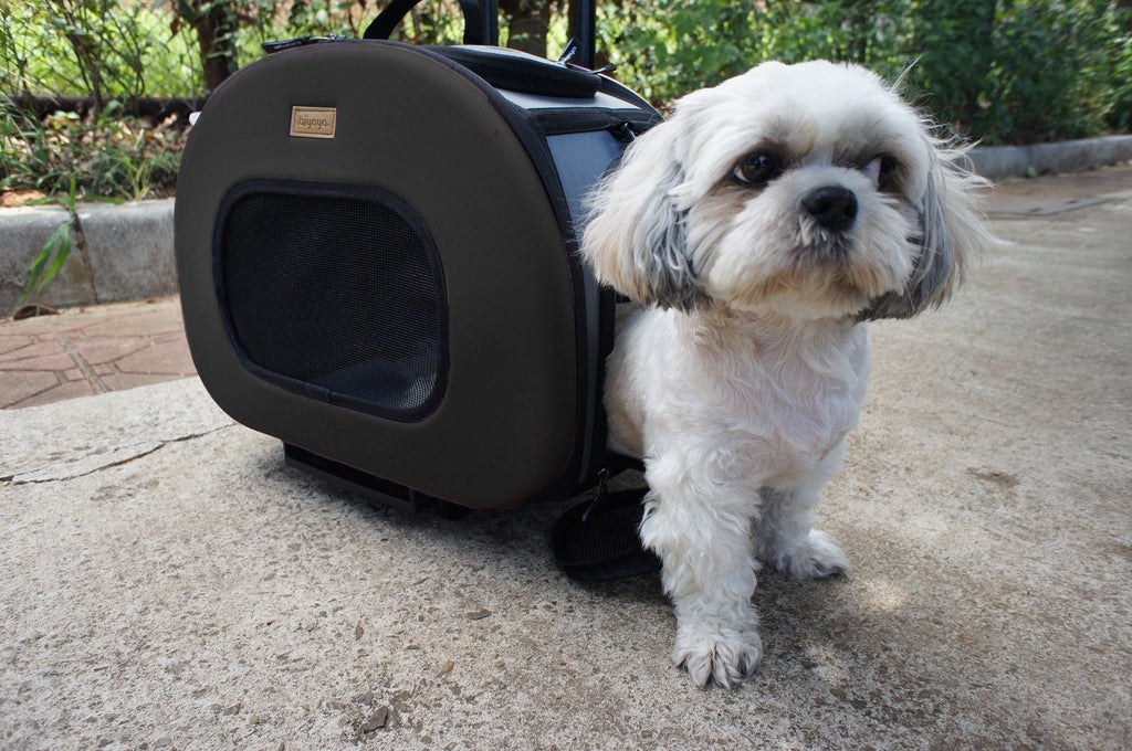 Black wheeled pet carrier crate beside a small dog with front mesh window
