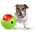 Dog beside green-and-red self-timing puzzle food dispenser ball