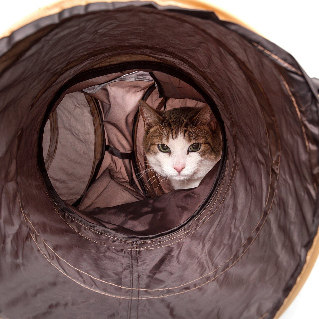 Close-up of brown cat tunnel interior with cat peeking from the round entrance