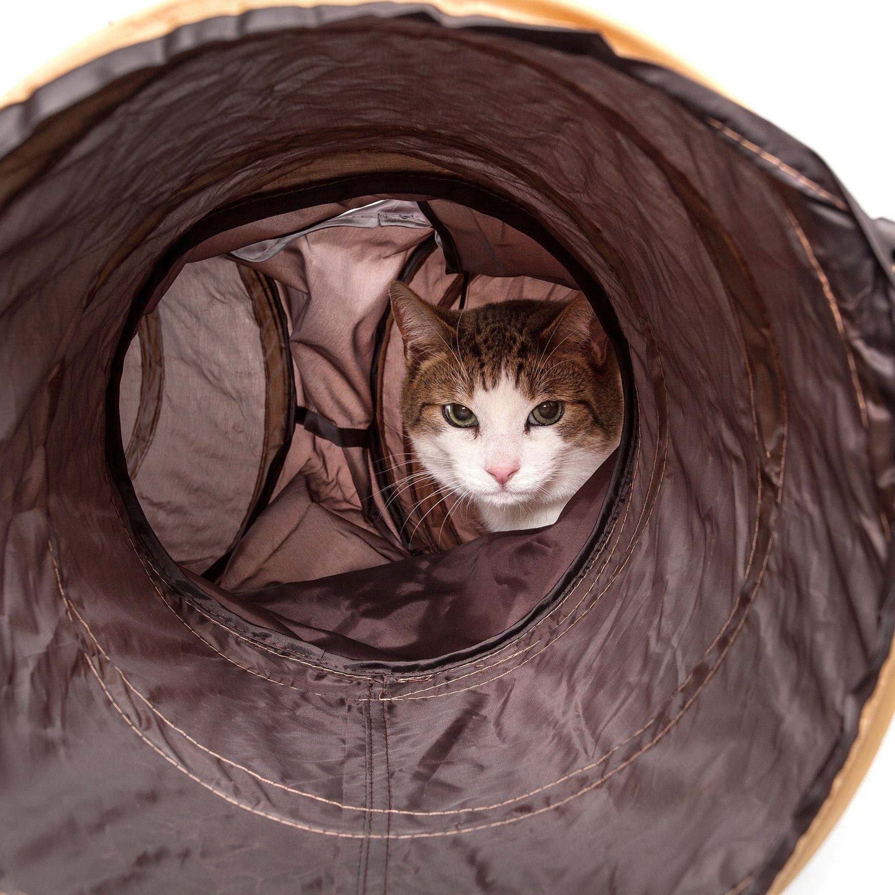 Close-up of brown cat tunnel interior with cat peeking from the round entrance