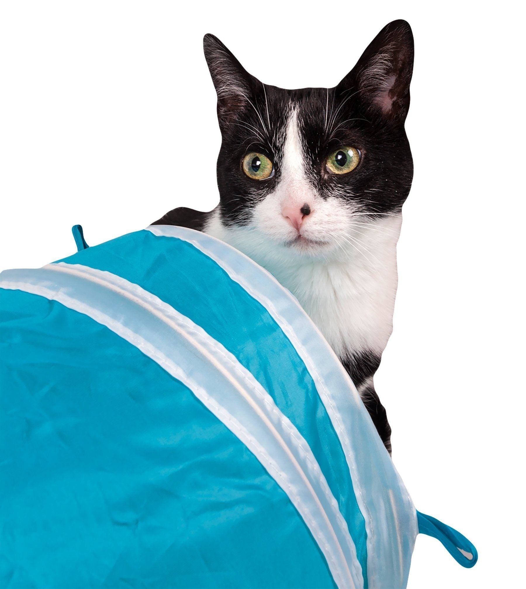 Black-and-white cat resting against blue tunnel with white trim stripes